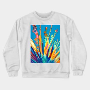 Oxytocin crystals, light micrograph (C011/0500) Crewneck Sweatshirt